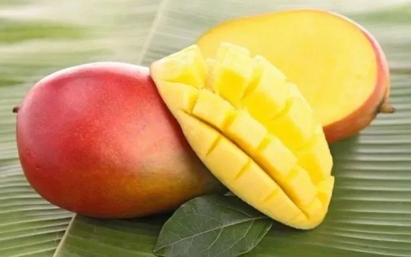 Пюре манго - рис 2